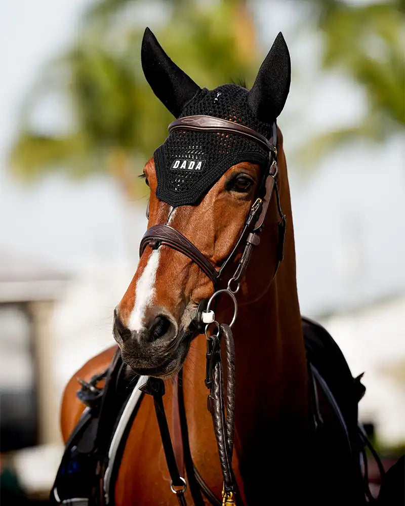 Polias Navy - Ear bonnet for horse