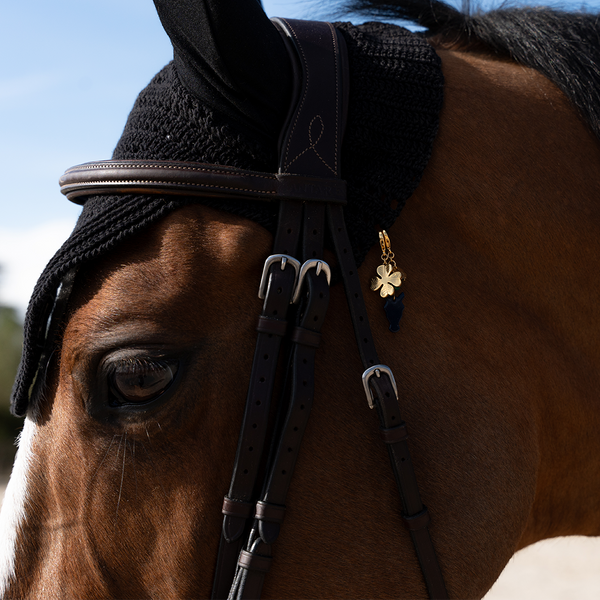 UNE COLLABORATION DÉDIÉE À L’ANNÉE DU CHEVAL