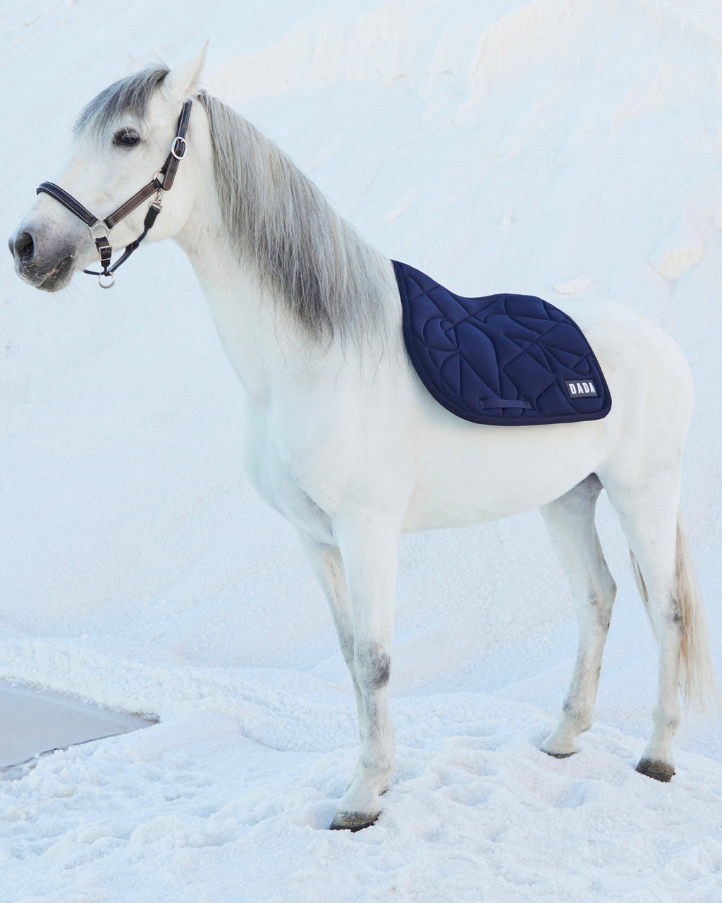 Fit for fun - Marine Horse Saddle Pad