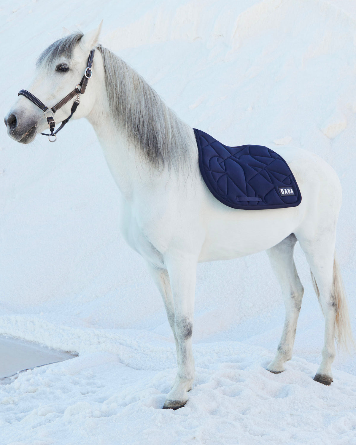 Fit for fun - Marine Horse Saddle Pad