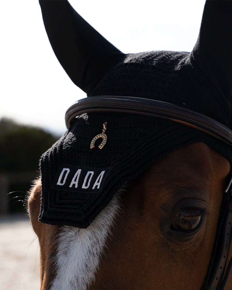 Charm fer à cheval