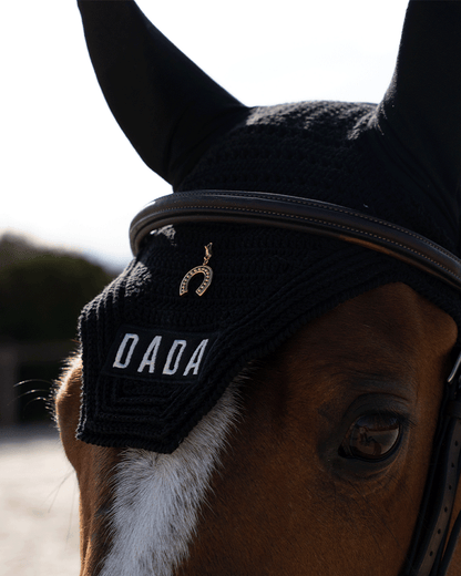 Charm fer à cheval